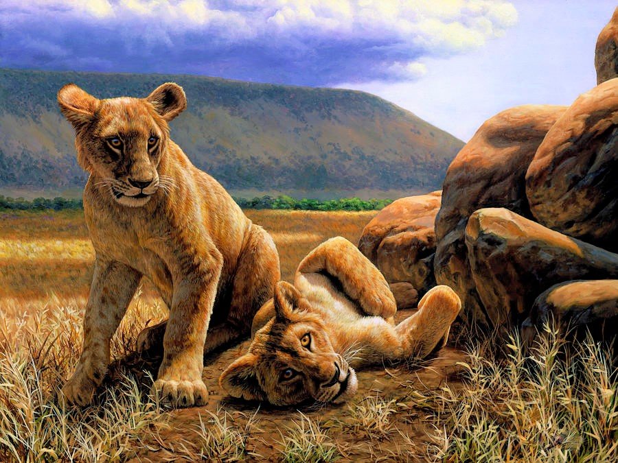 Львята - львы, рисунок, львята, лев, природа, животные, львенок - оригинал