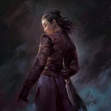 Схема вышивки «Арья»