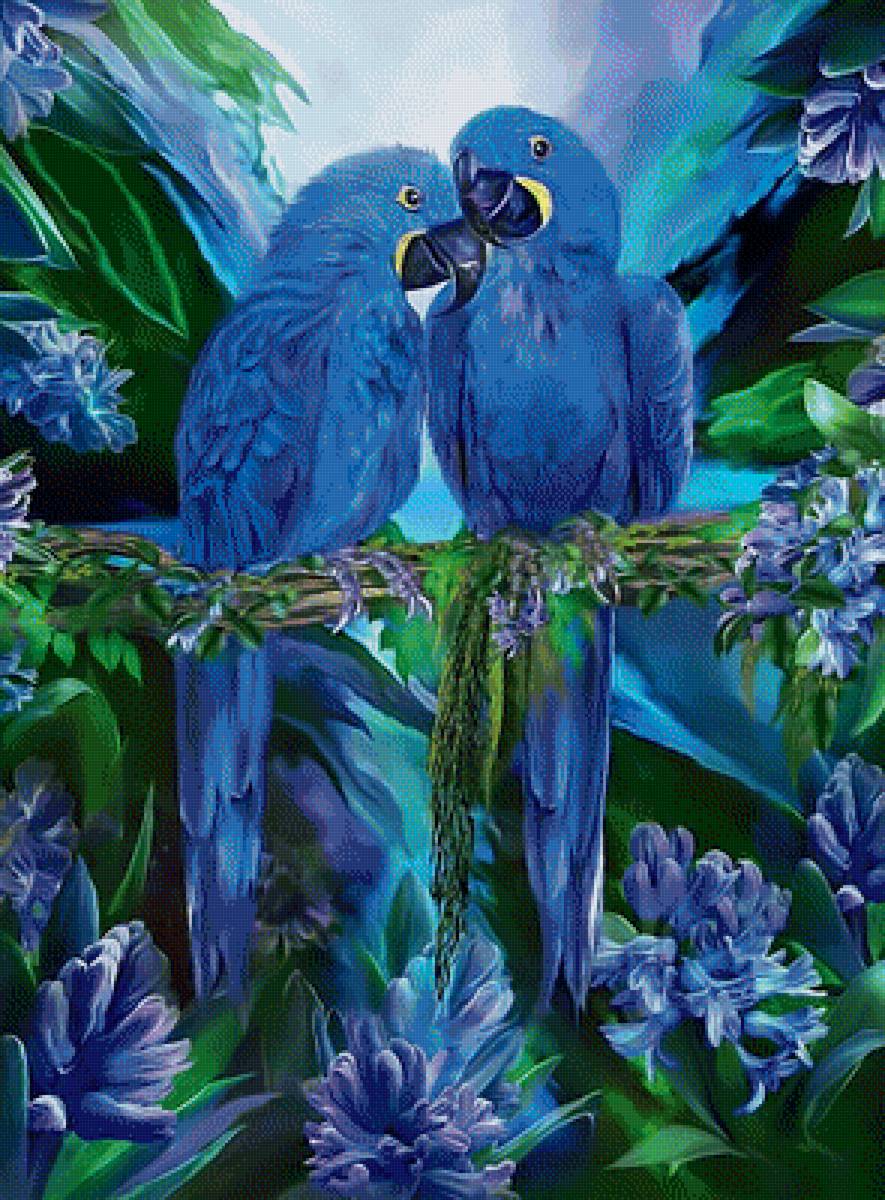 Синие попугаи - синие попугаи - предпросмотр