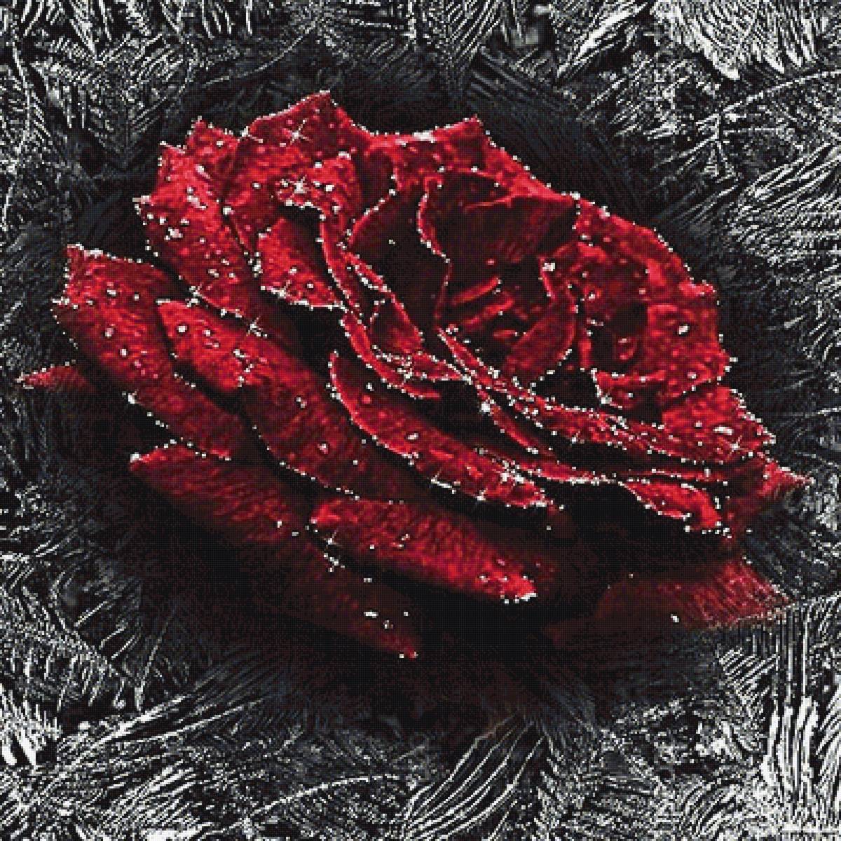 №1920434 - предпросмотр