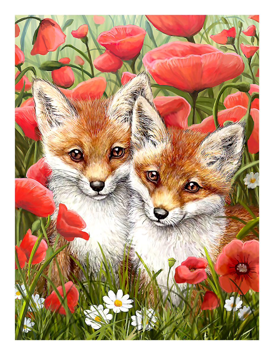 Серия "Лисы" - лисята, животные - оригинал