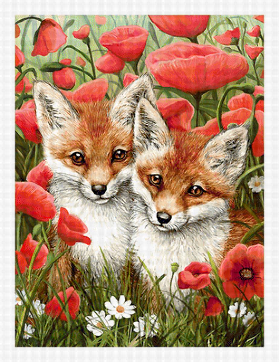 Серия "Лисы" - лисята, животные - предпросмотр