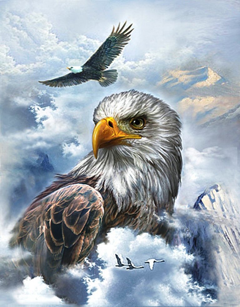 Орел - горы, орел, птицы, природа - оригинал