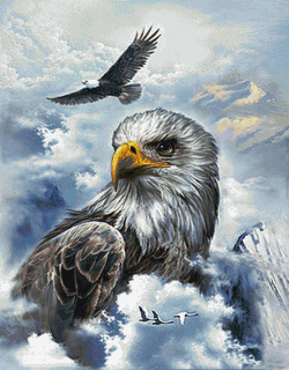 Орел - орел, природа, горы, птицы - предпросмотр