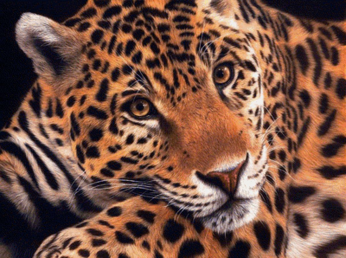 Леопард - животные, леопард, рисунок - предпросмотр