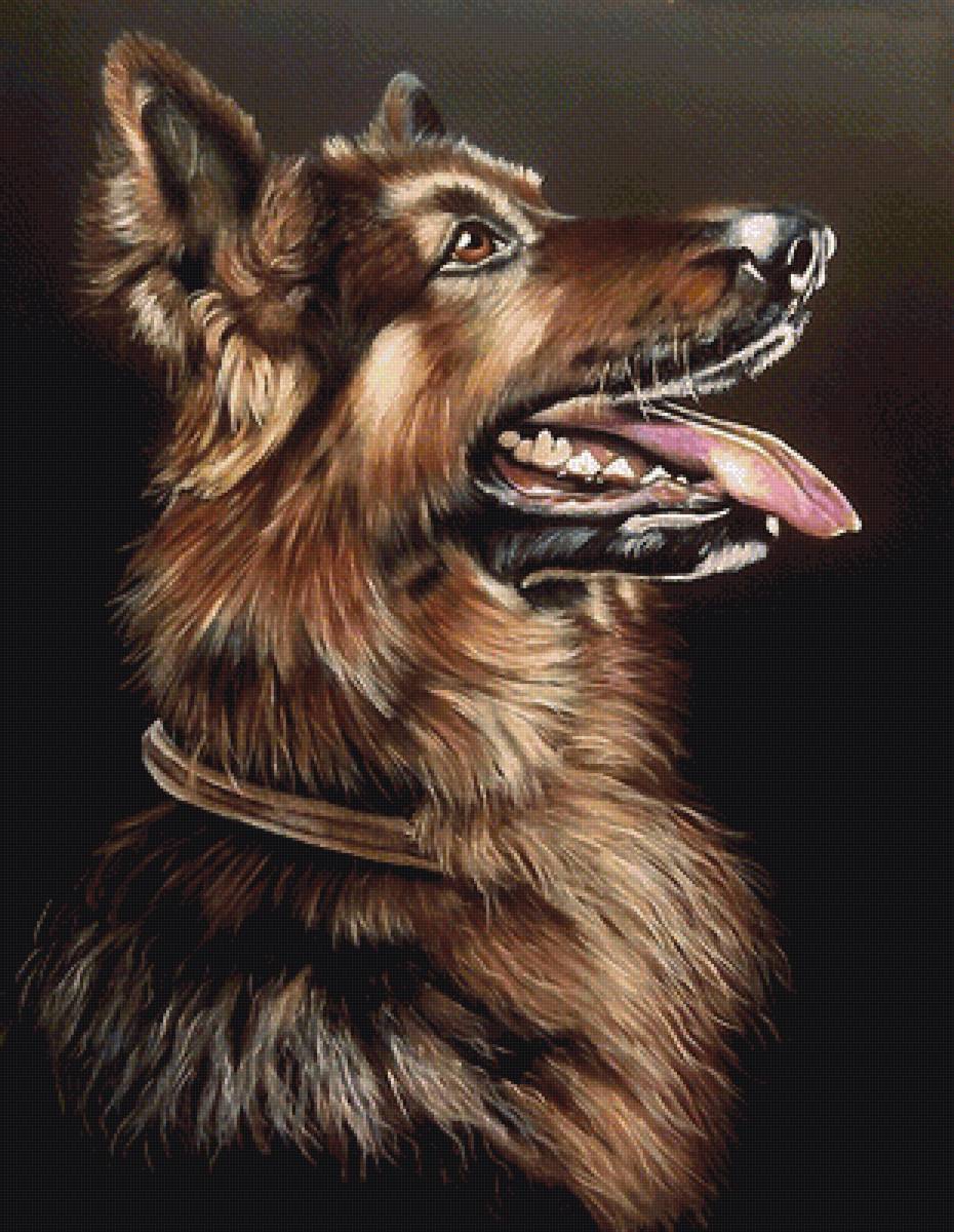 собака - собаки - предпросмотр