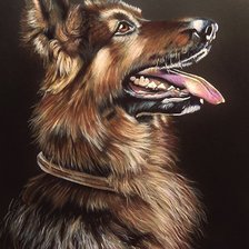 Схема вышивки «собака»