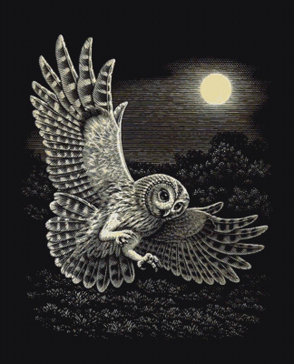 рисунок - предпросмотр