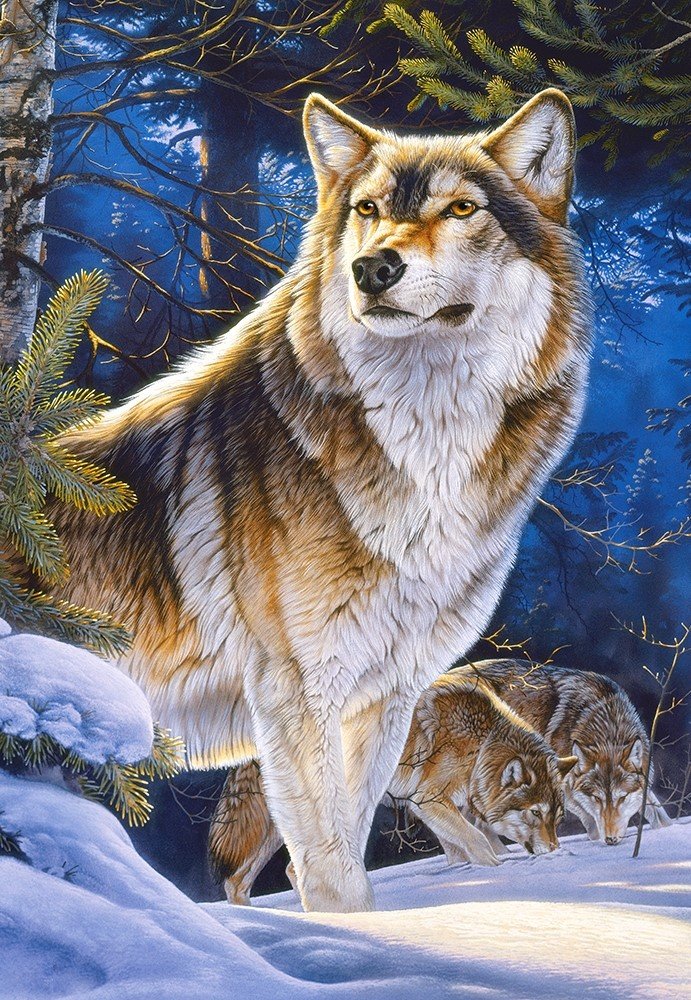 Волки - снег, животные, лес, волк, рисунок, зима, природа, волки - оригинал