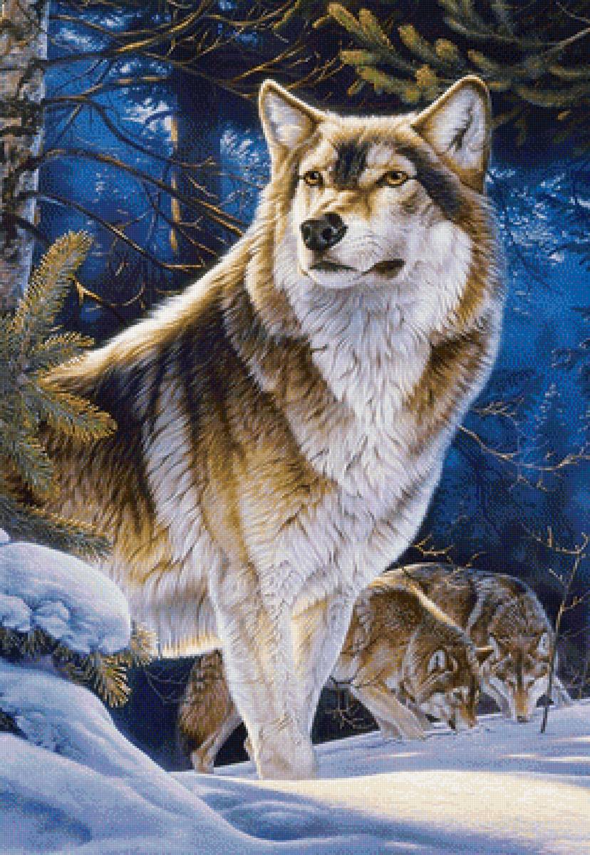 Волки - животные, природа, рисунок, лес, зима, снег, волк, волки - предпросмотр