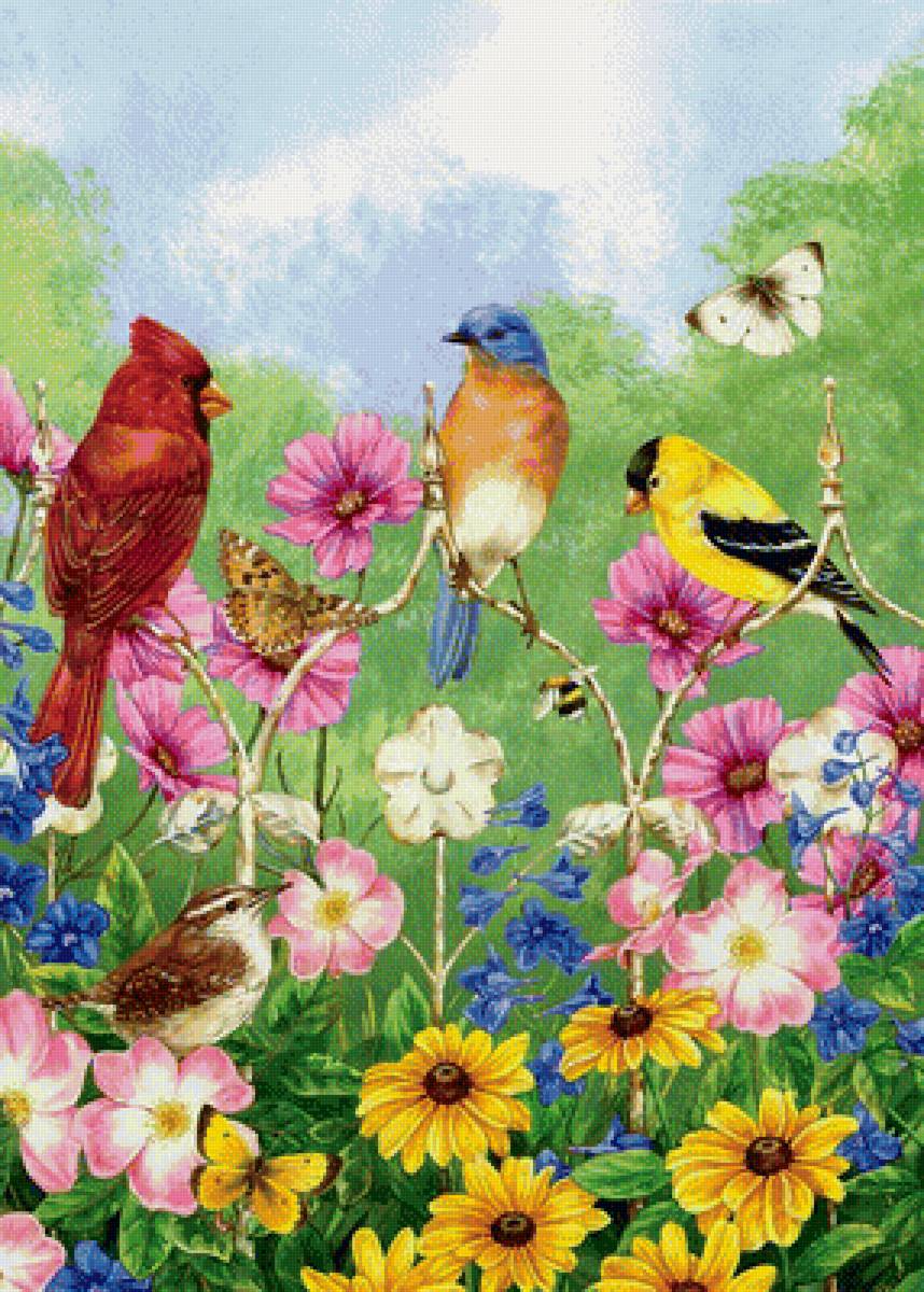 Яркие птички - рисунок, бабочки, птицы, птички, лето, цветы, природа - предпросмотр