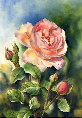 Pink Rose. - doris joa painter.flowers and gardens. - оригинал