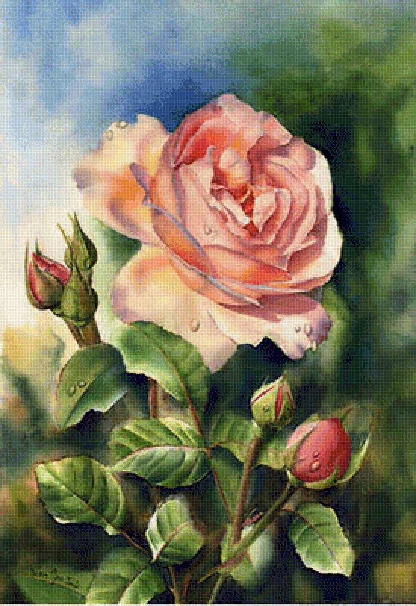 Pink Rose. - doris joa painter.flowers and gardens. - предпросмотр