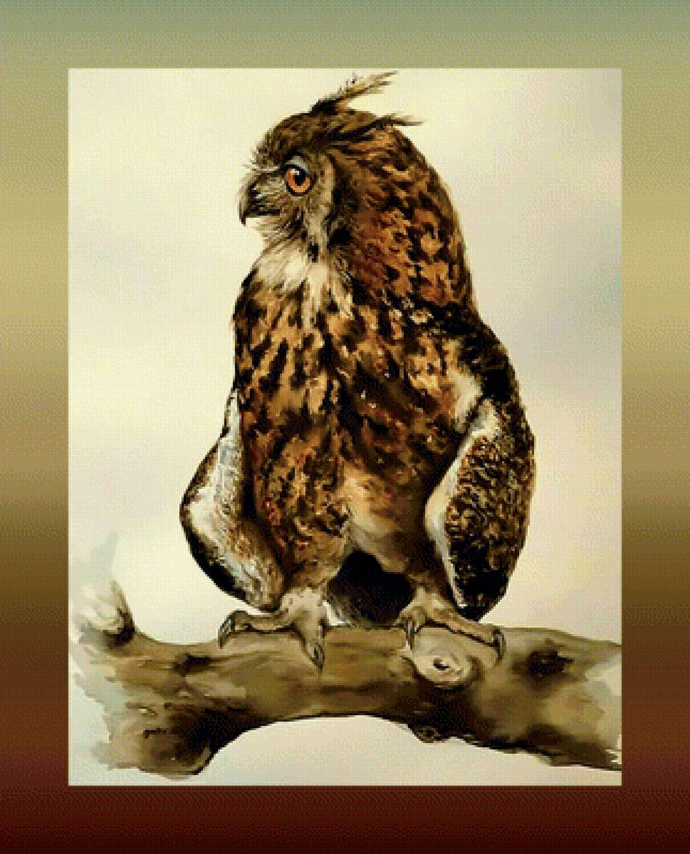 Сова - сова птица на дереве картина - предпросмотр