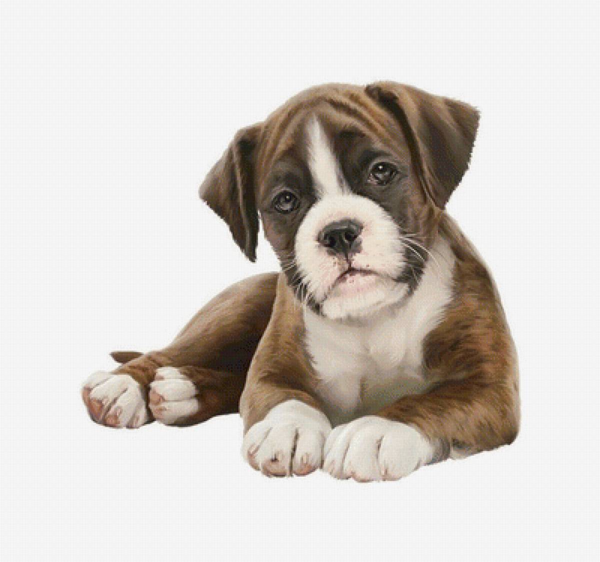 №1921993 - предпросмотр