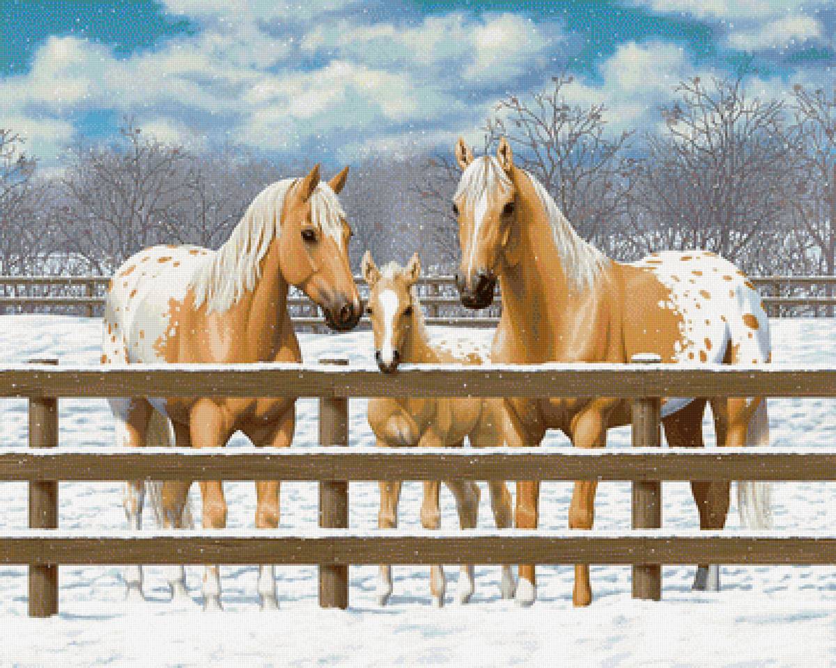 Лошади - лошадь, зима, снег, животные, лошади, рисунок - предпросмотр