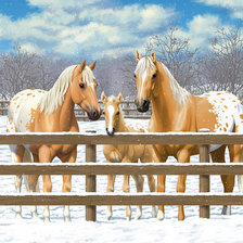 Схема вышивки «Лошади»