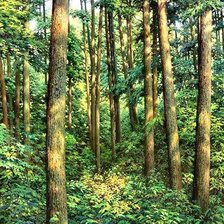 Схема вышивки «пейзаж»