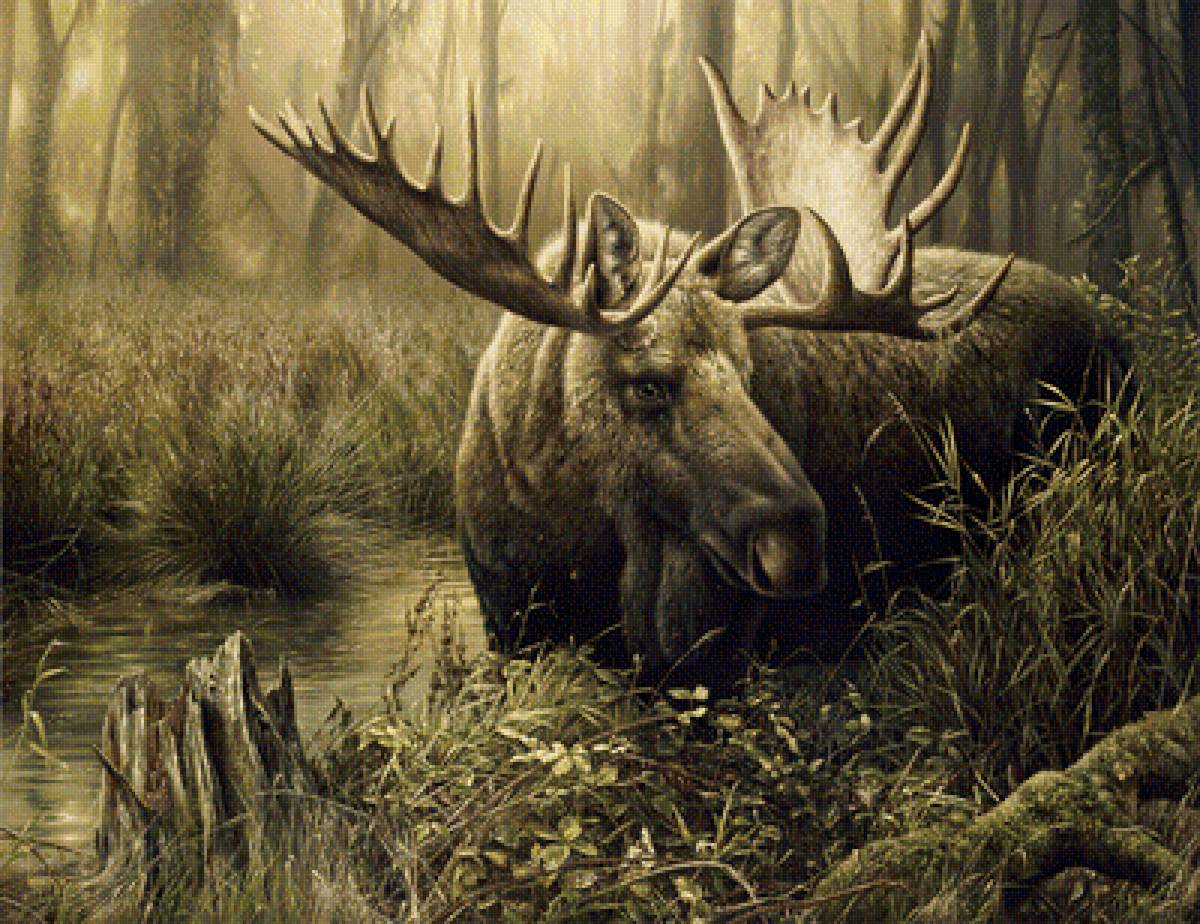 СЮЖЕТ - предпросмотр