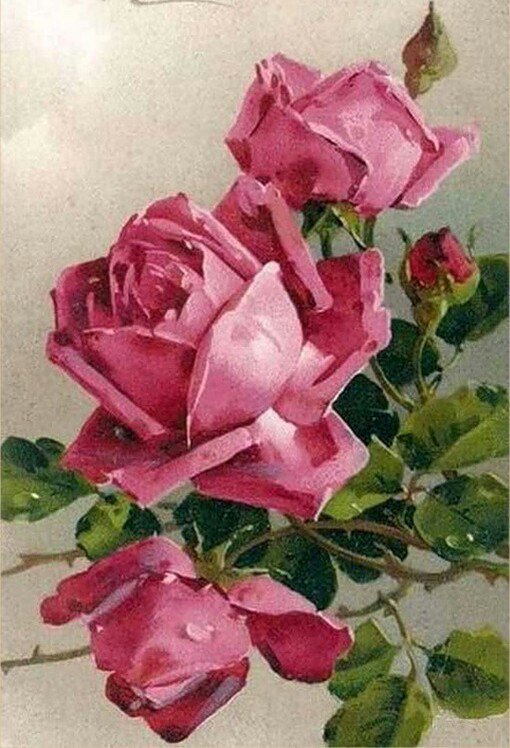 ROSAS - 273 x 400 cruces - оригинал