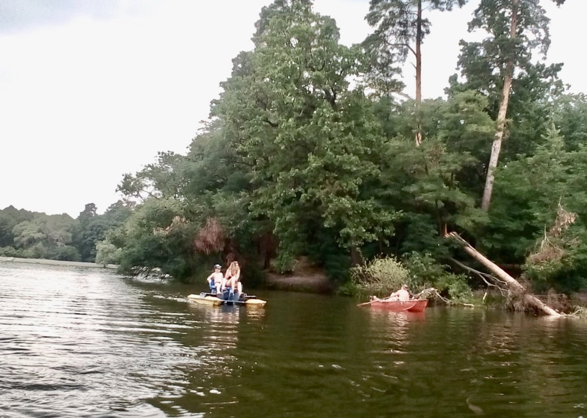 Пуща Водица - оригинал