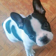 Схема вышивки «Airon»