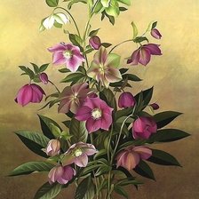 Схема вышивки «цветы»