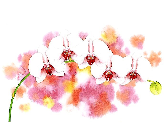 акварель - оригинал