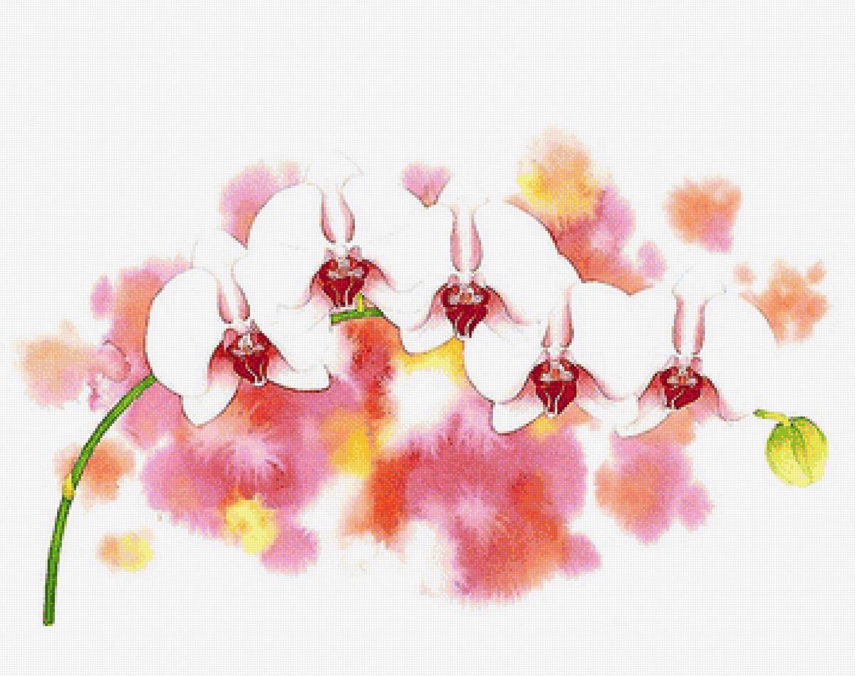 акварель - предпросмотр