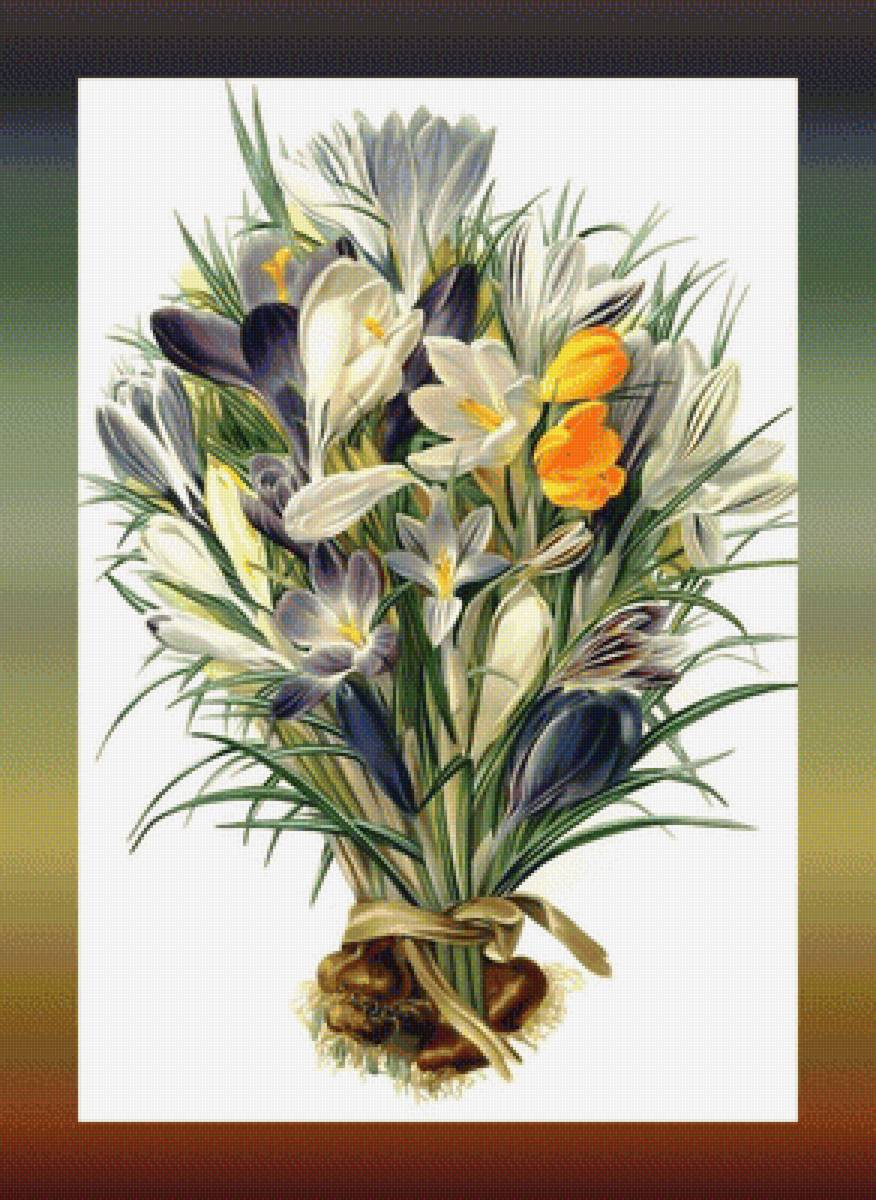 Букетик - цветы букет - предпросмотр