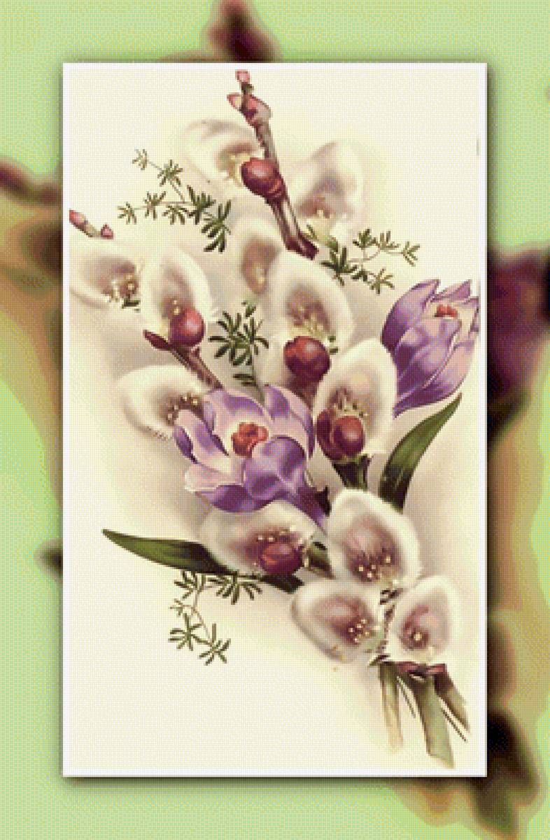 Веточка вербы2 - букет верба весна - предпросмотр