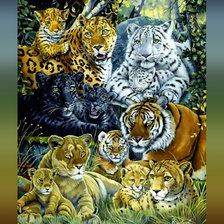 Схема вышивки «Гордость больших котов2»