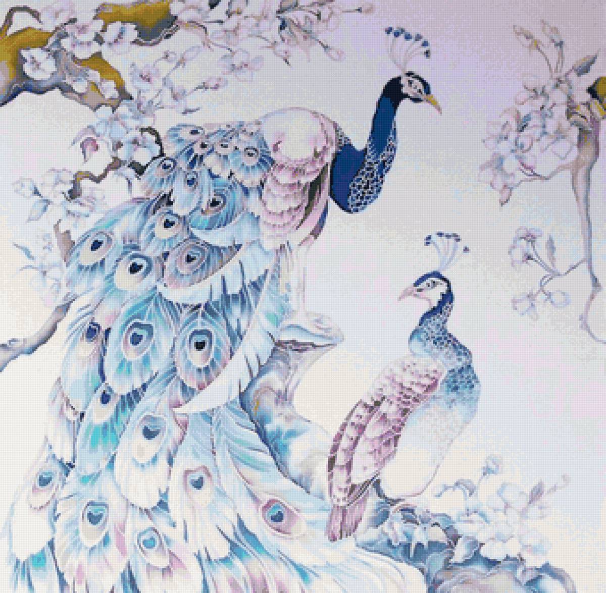 №1923361 - птицы, павлины - предпросмотр