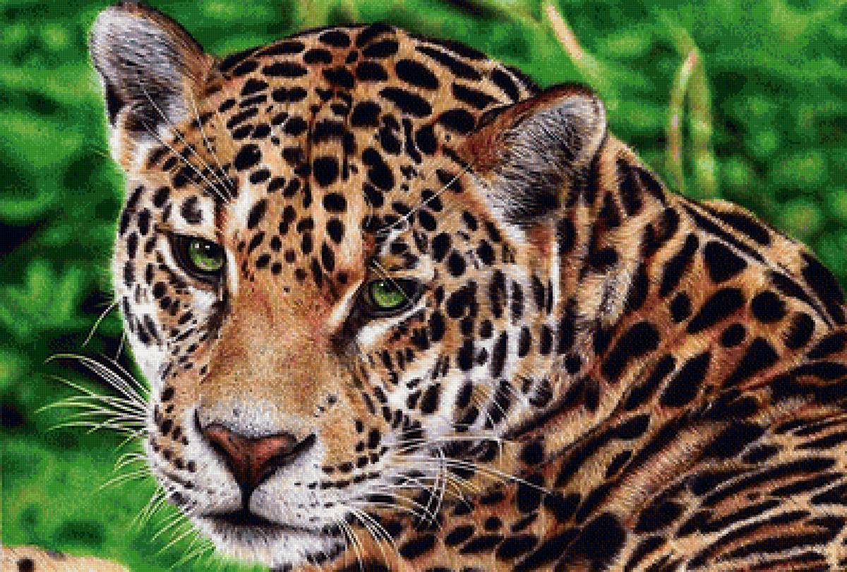 лео - мир животных - предпросмотр