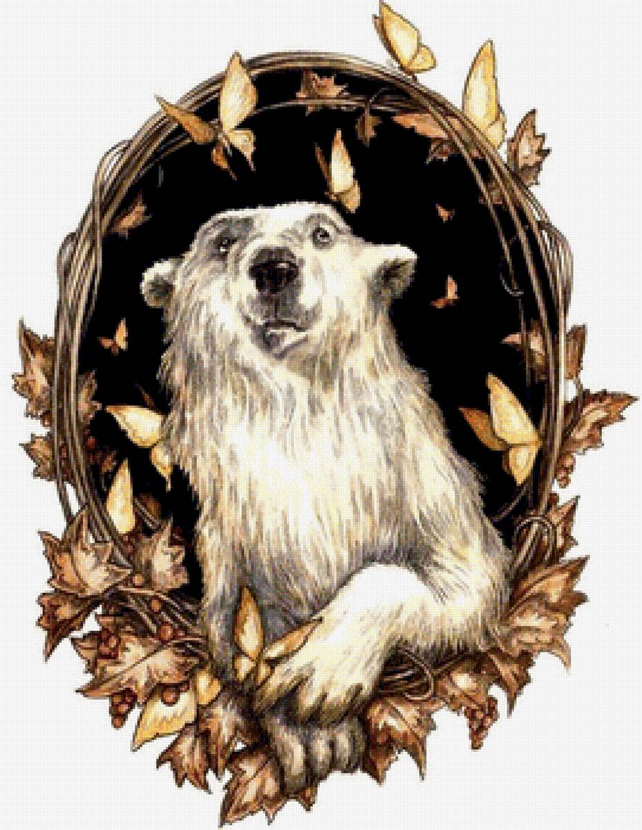 Сказочные иллюстрации Adam Oehlers - белый медведь бабочки - предпросмотр