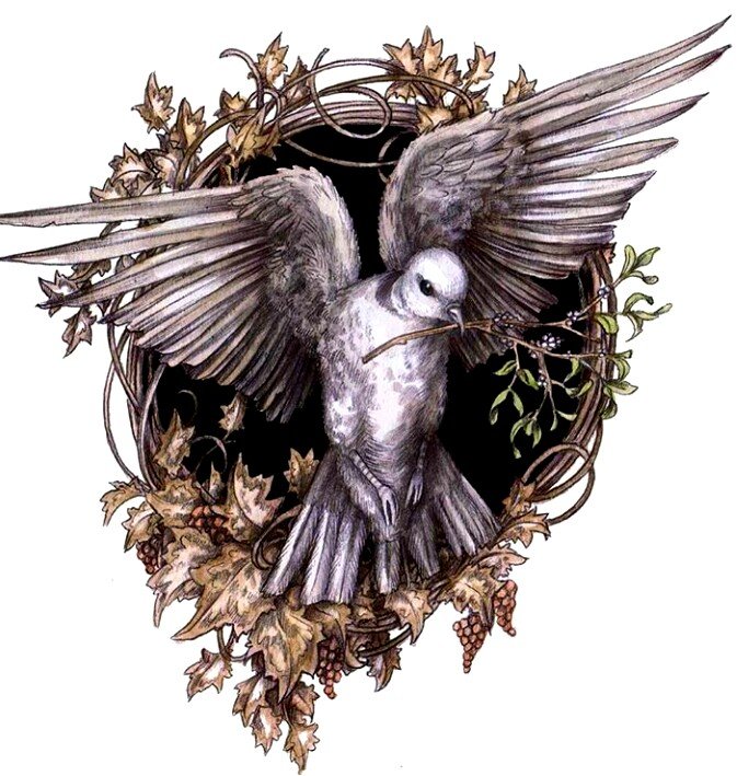 Сказочные иллюстрации Adam Oehlers - белый голубь с веточкой - оригинал