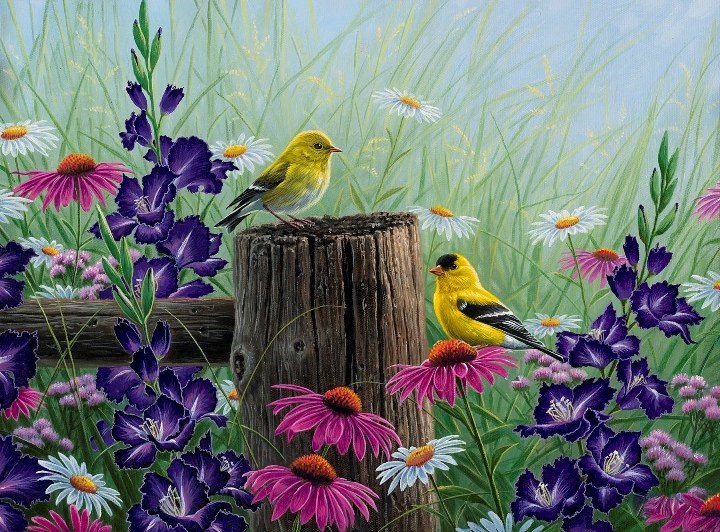 Птички - цветы, лето, рисунок, птицы, птички, природа - оригинал