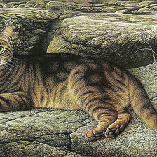 Схема вышивки «№1923617»