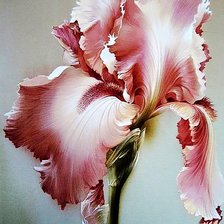 Схема вышивки «№1923936»