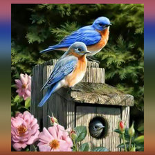 Схема вышивки «Птицы»