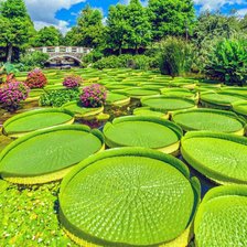 Схема вышивки «506»