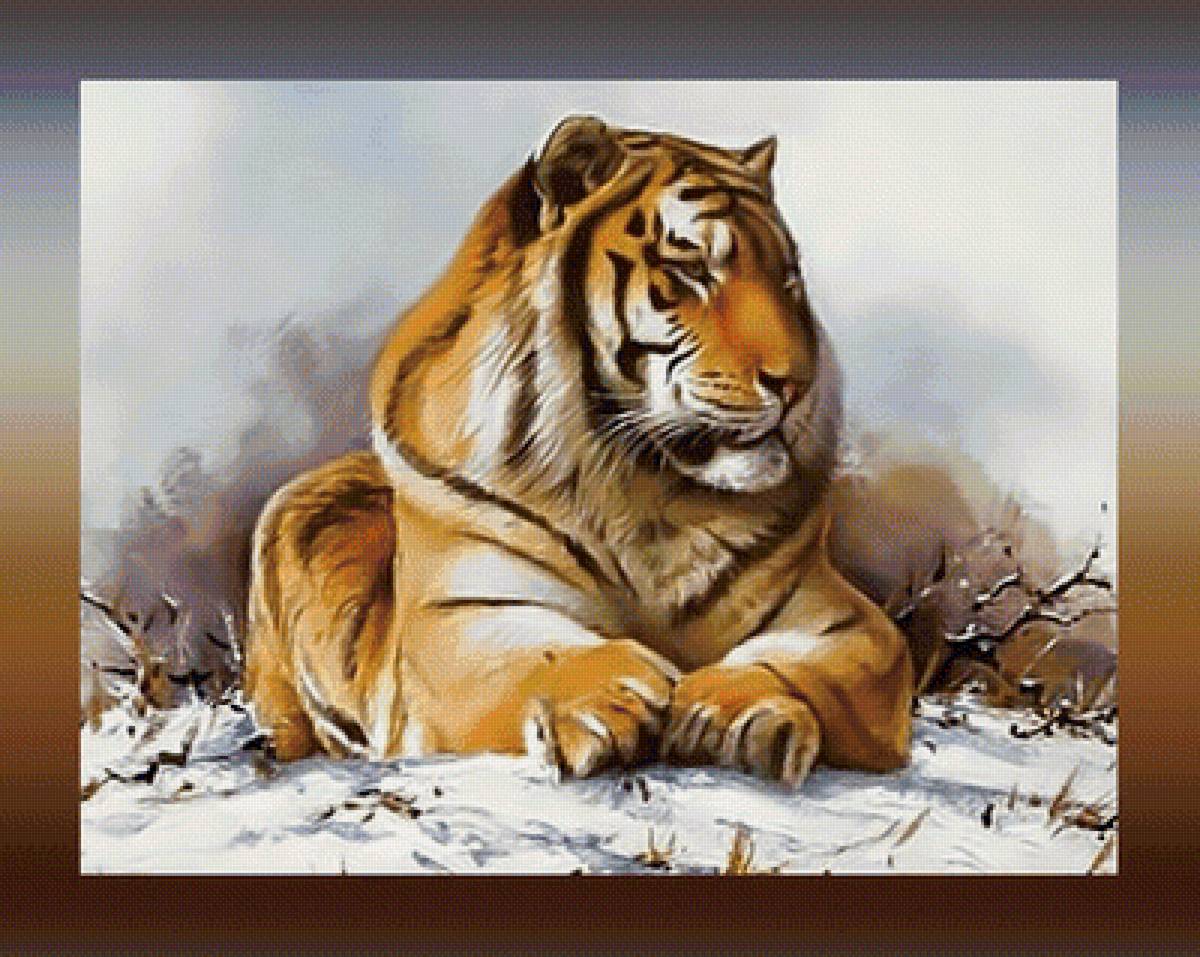 Величавый тигр - тигр хищник - предпросмотр