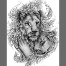 LEONES