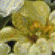 Предпросмотр схемы вышивки «цветы» (№1924561)