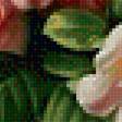 Предпросмотр схемы вышивки «Розовые розы» (№1924566)