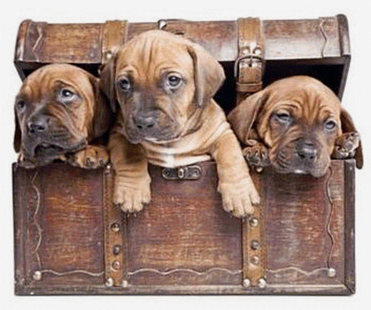 №1924758 - предпросмотр