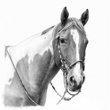 Схема вышивки «Лошадь»