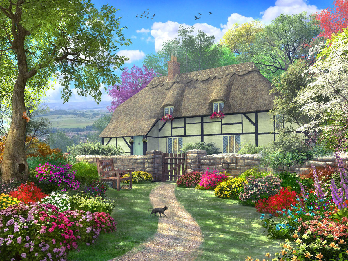 Домик - пейзаж, дом, лето, кот, природа, домик, цветы - оригинал