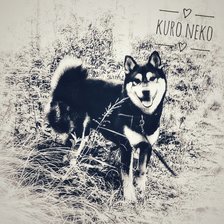 Неко 10 цветов