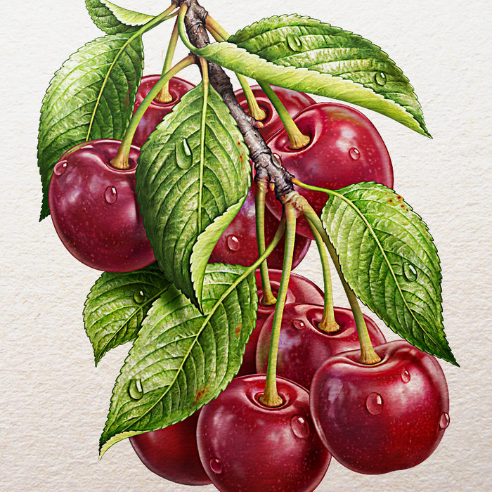 вишня - оригинал